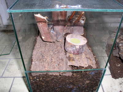 Terarium s krmitkem